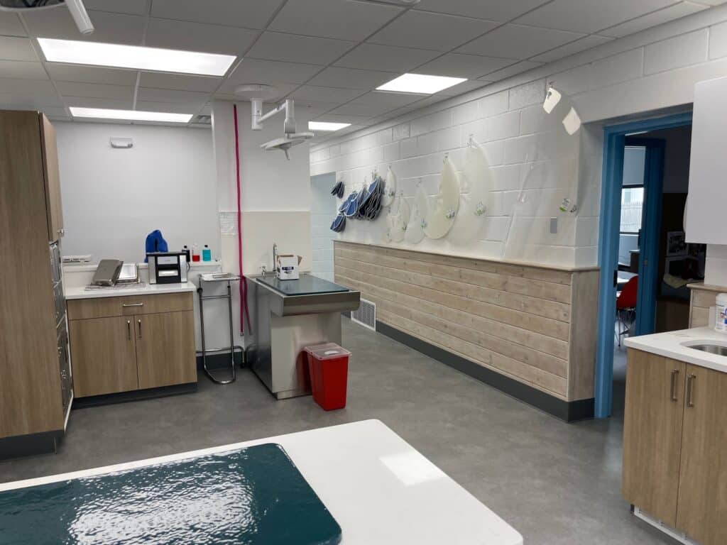 Another photo of the treatment area